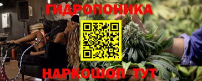 гашик Бийск