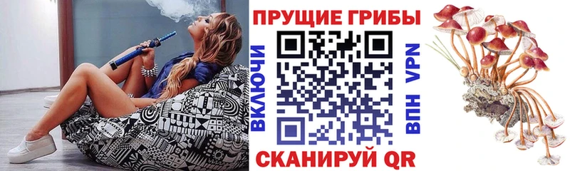 Галлюциногенные грибы мухоморы  Мурманск 