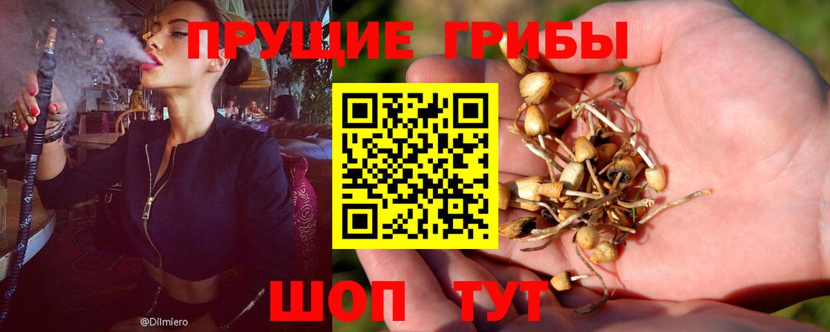 Псилоцибиновые грибы Psilocybine cubensis  Галлюциногенные грибы ЛСД  Мурманск  Вход с VPN 