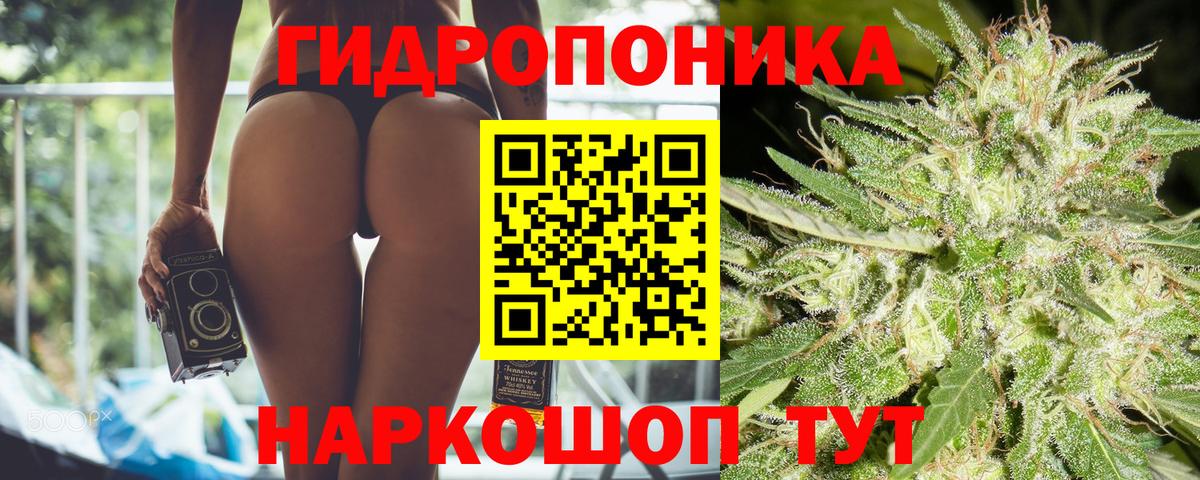 Мурманск  Канабис план  Вход с VPN  Бошки марихуана AK-47  Каннабис гибрид  Конопля конопля 